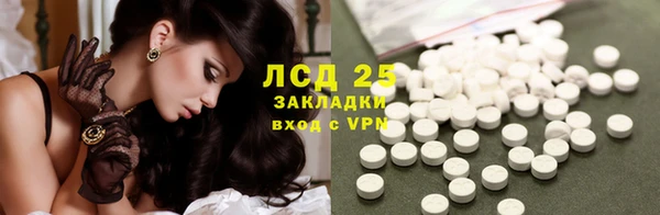 трава Белокуриха